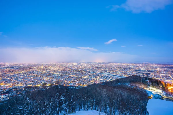 美丽的风景与莫瓦山周围的树木和城市在雪冬天季节在夜间时间在日本札幌 — 图库照片