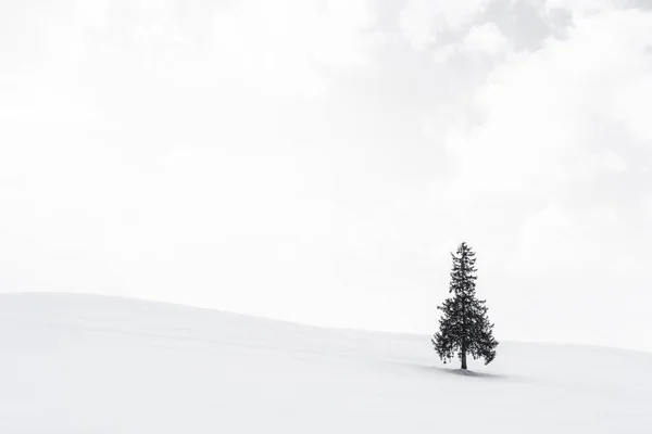 空と雲と雪の冬の天気シーズンで単独で人工クリスマス ツリーと美しい屋外の自然風景 — ストック写真