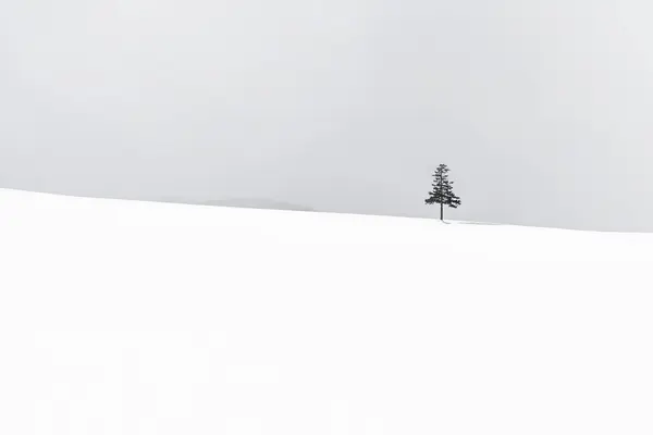 Vackra Utomhus Natur Landskap Och Julgran Vintern Snösäsongen Med Kopia — Stockfoto