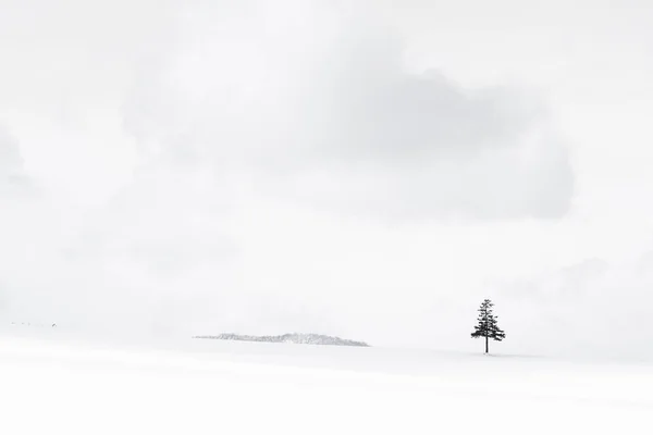 Όμορφο Υπαίθριο Τοπίο Και Χριστουγεννιάτικο Δέντρο Χειμώνα Χιόνι Αντίγραφο Χώρου — Φωτογραφία Αρχείου