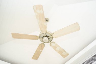 Tavan fan dekorasyon iç Oda