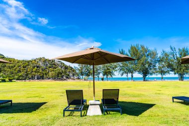 Şemsiye ve yeşil çim sandalye neredeyse deniz plajı ve okyanus boş tatil için
