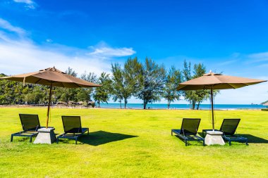 Şemsiye ve yeşil çim sandalye neredeyse deniz plajı ve okyanus boş tatil için