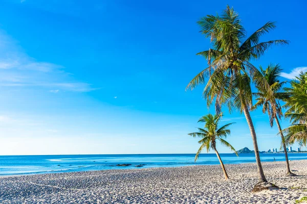 Hua Hin Şehir Tayland Hindistan Cevizi Palmiye Ağacı Ile Plaj — Stok fotoğraf