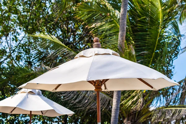 Beautiful Outdoor Nature Umbrella Chair Coconut Palm Tree Swimming Pool — Stock Photo, Image