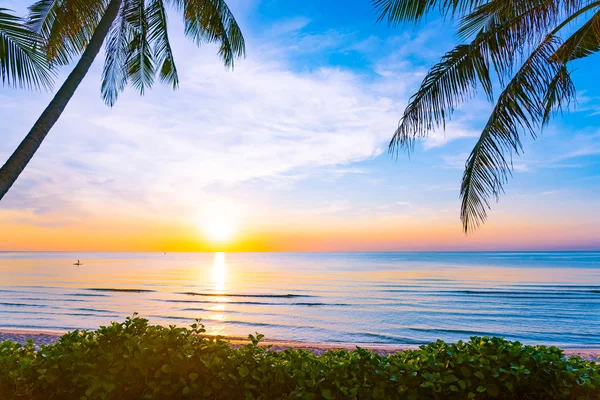Открытый Природный Ландшафт Моря Пляжа Кокосовой Пальмой Восходе Закате Неспешного — стоковое фото