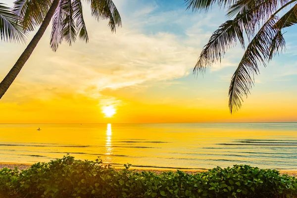 Prachtig Buiten Natuur Landschap Van Zee Strand Met Kokospalm Boom — Stockfoto