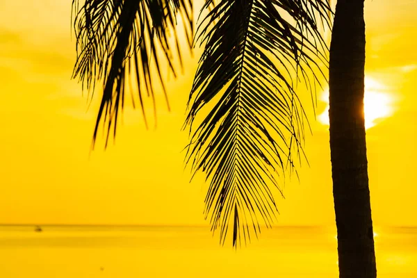 Bellissimo Paesaggio Naturale All Aperto Mare Spiaggia Con Palma Cocco — Foto Stock
