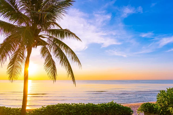 Открытый Природный Ландшафт Моря Пляжа Кокосовой Пальмой Восходе Закате Неспешного — стоковое фото
