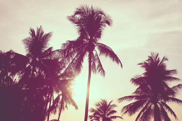 美丽的户外自然景观的大海和海滩与椰子树在日出或日落休闲旅行和度假 — 图库照片