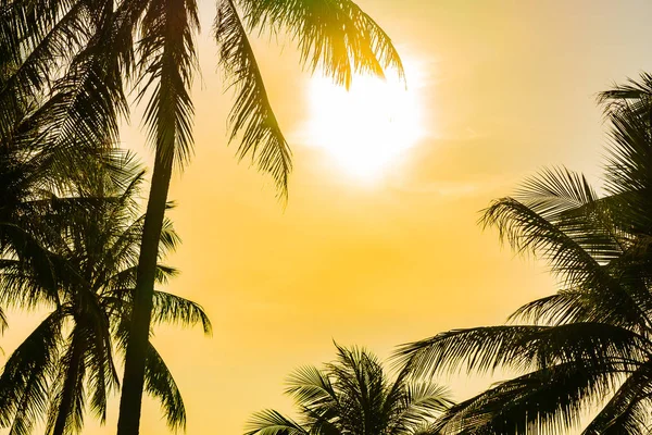 휴가를위한 Sunrsie 일몰호텔 리조트에서 수영장 바다와 코코넛 야자수와 아름다운 — 스톡 사진