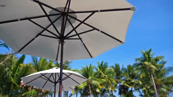 Close Beelden Van Parasols Het Strand — Stockvideo