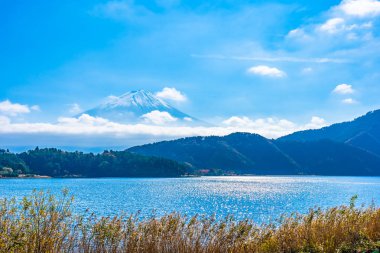 Dağ fuji ile akçaağaç yaprağı ağacın etrafında güzel manzara