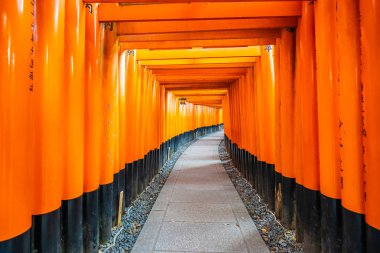 Güzel fushimi Inari tapınak tapınak Kyoto
