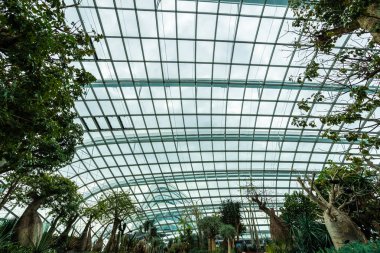 Çiçek kubbe Bahçesi ve greenhous bina güzel mimari