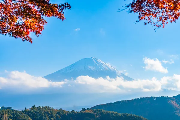 Bela paisagem de fuji de montanha com árvore de folha de bordo ao redor — Fotografia de Stock