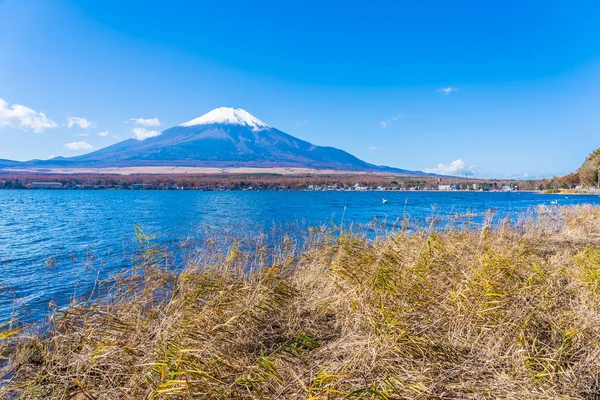 Όμορφο τοπίο του βουνού fuji γύρω από τη λίμνη yamanakako — Φωτογραφία Αρχείου