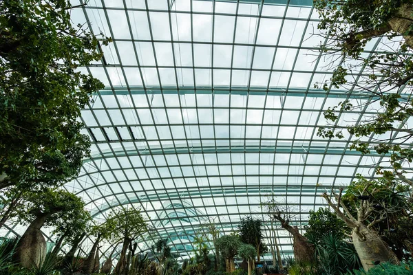 Çiçek kubbe Bahçesi ve greenhous bina güzel mimari