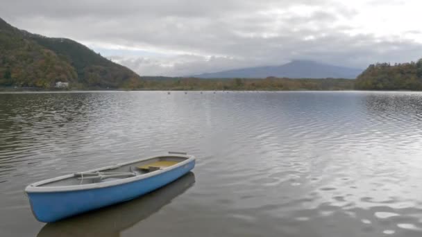 Imagens Cênicas Belo Lago Dia Ensolarado — Vídeo de Stock