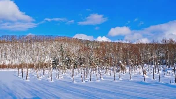 Natursköna Bilder Vackra Vinterlandskap — Stockvideo