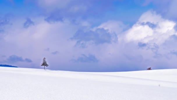 Szenische Aufnahmen Einer Wunderschönen Winterlandschaft — Stockvideo