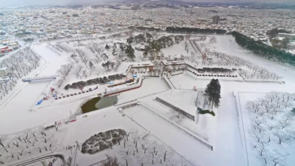 Imágenes Aéreas Escénicas Hermosa Nieve Cubierta Hokkaido Japón — Vídeos de Stock