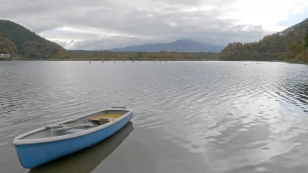 Imagens Cênicas Belo Lago Dia Ensolarado — Vídeo de Stock