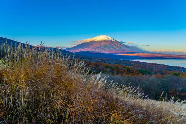 Bela montanha fuji em yamanakako ou lago yamanaka — Fotografia de Stock