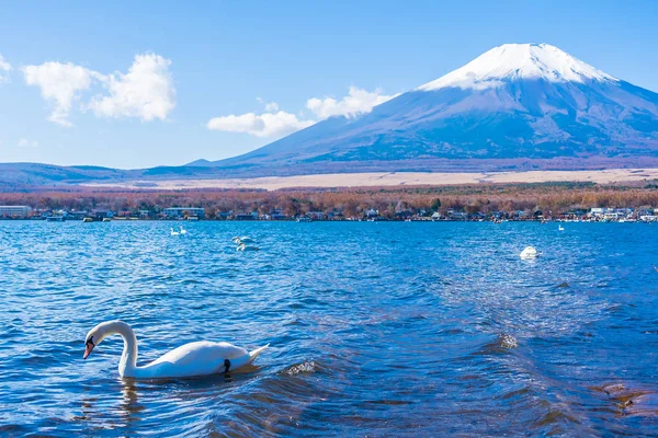 Όμορφο τοπίο του βουνού fuji γύρω από τη λίμνη yamanakako — Φωτογραφία Αρχείου