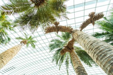 Çiçek kubbe Bahçesi ve greenhous bina güzel mimari