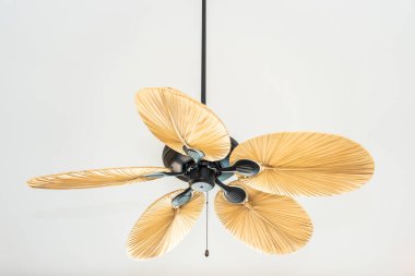 Elektrikli tavan fan dekorasyon inteior