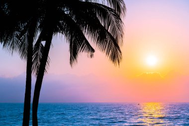 Güzel siluet Hindistan cevizi hurma ağacı gökyüzü neary deniz okyanus üzerinde olması