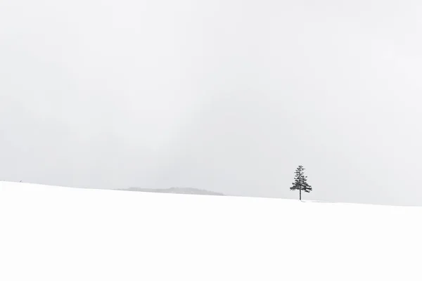Hermoso paisaje natural al aire libre con árbol de Navidad en invierno — Foto de Stock