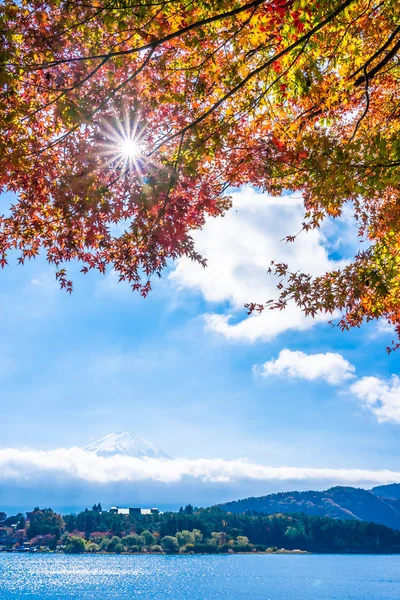 Bellissimo Paesaggio Montagna Fuji Con Acero Foglia Intorno Lago Autunno — Foto Stock