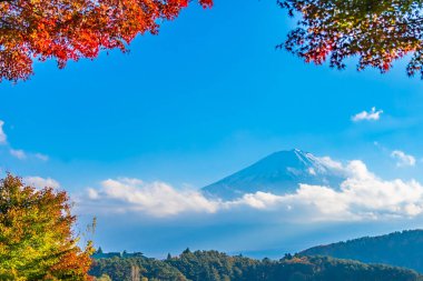 Güzel manzara dağ fuji göl Yamanashi Japonya akçaağaç ağaç yaprak ile