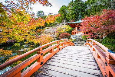 Renkli ağaç ve yaprak sonbahar sezonu Kyoto Japonya ile güzel Daigoji Tapınağı