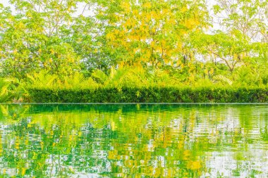 Tatil tatil seyahat konsepti için otel ve tatil güzel lüks açık yüzme havuzu