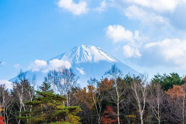 Prachtige Landschap Van Berg Fuji Met Esdoorn Blad Rond Lake — Stockfoto