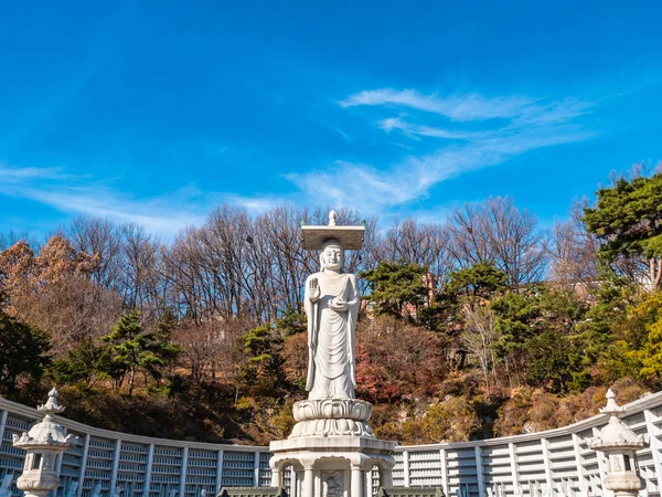 Krásný Buddhismus Socha Bongeunsa Temple City Soul Jižní Korea — Stock fotografie