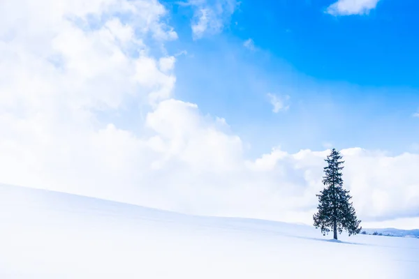 Vackra Utomhus Natur Landskap Med Ensam Christmass Träd Snö Vädret — Stockfoto