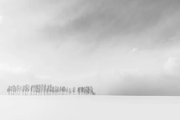 雪冬シーズン北海道 黒と白の色を処理で木の枝のグループと美しい屋外の自然風景 — ストック写真