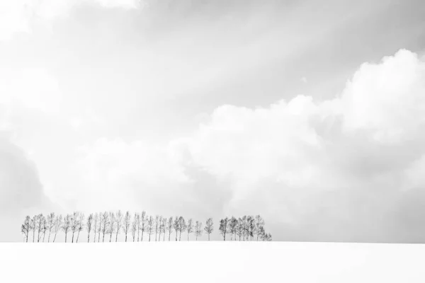 Schöne Natur Landschaft Freien Mit Einer Gruppe Von Baumzweigen Schnee — Stockfoto