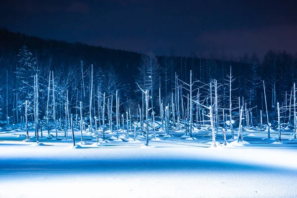 Пейзаж Открытым Небом Синей Рекой Прудом Ночью Светом Снежный Зимний — стоковое фото