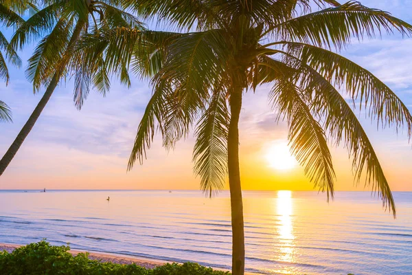 Открытый Пейзаж Морского Океанского Пляжа Кокосовой Пальмой Восходе Закате Солнца — стоковое фото