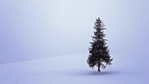 美しい冬の風景の風光明媚な映像 — ストック動画