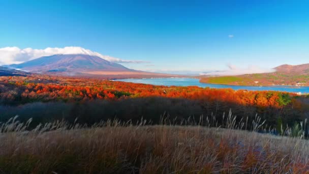 美丽的湖泊的风景镜头在阳光明媚的一天附近的富士山 — 图库视频影像