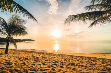 Günbatımı zaman tropik cennet ada plaj ve deniz ile Hindistan cevizi palmiye ağacı üzerinde tatil ve tatil için