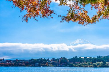 Dağ fuji akçaağaç yaprağı ağaç göl sonbahar sezonu ile güzel manzara