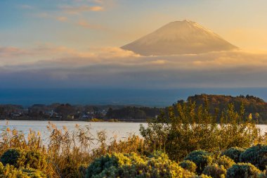 Dağ fuji akçaağaç yaprağı ağaç göl günbatımı zaman Yamanashi Japonya sonbahar sezonu ile güzel manzara