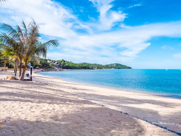 Beautiful Tropical Beach Sea Coconut Palm Tree Travel Vacation — Stock Photo, Image